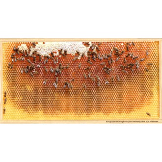 SIPA Postkarte Honigwabe leer