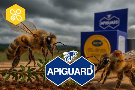 Obrázek Apiguard gegen Varroose? Praxiserfahrungen von Imkerinnen und Imkern