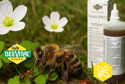 Obrázek Anleitung zur Anwendung von VarroMed gegen die Varroose