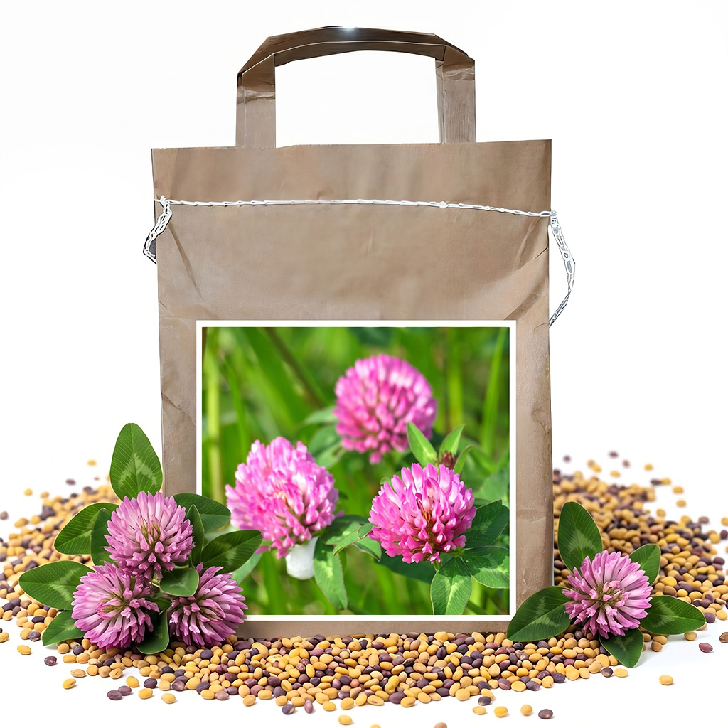 Wiesenklee VENDELIN - 1 kg