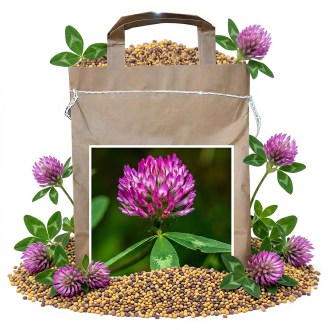 Wiesenklee SLAVIN - 1 kg