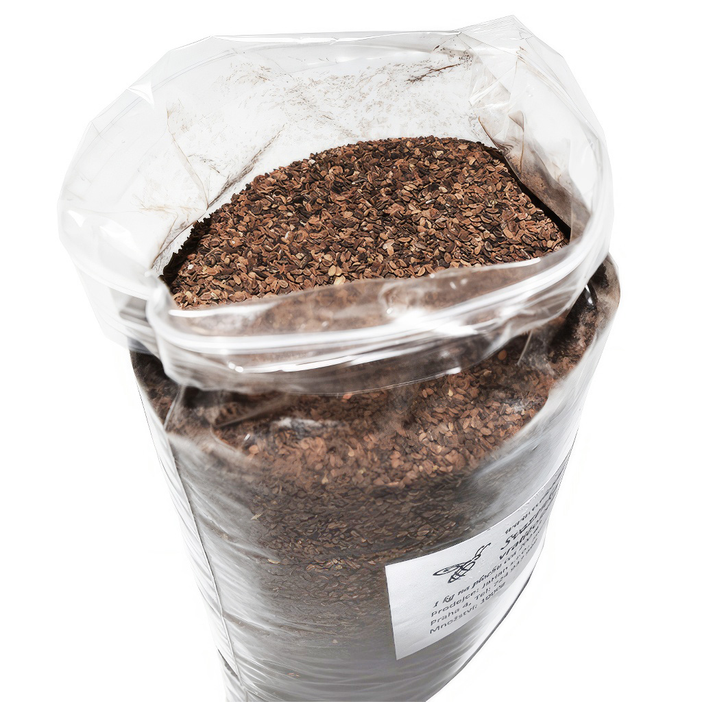 Phacelia tanacetifolia Samen für Bienen 1kg